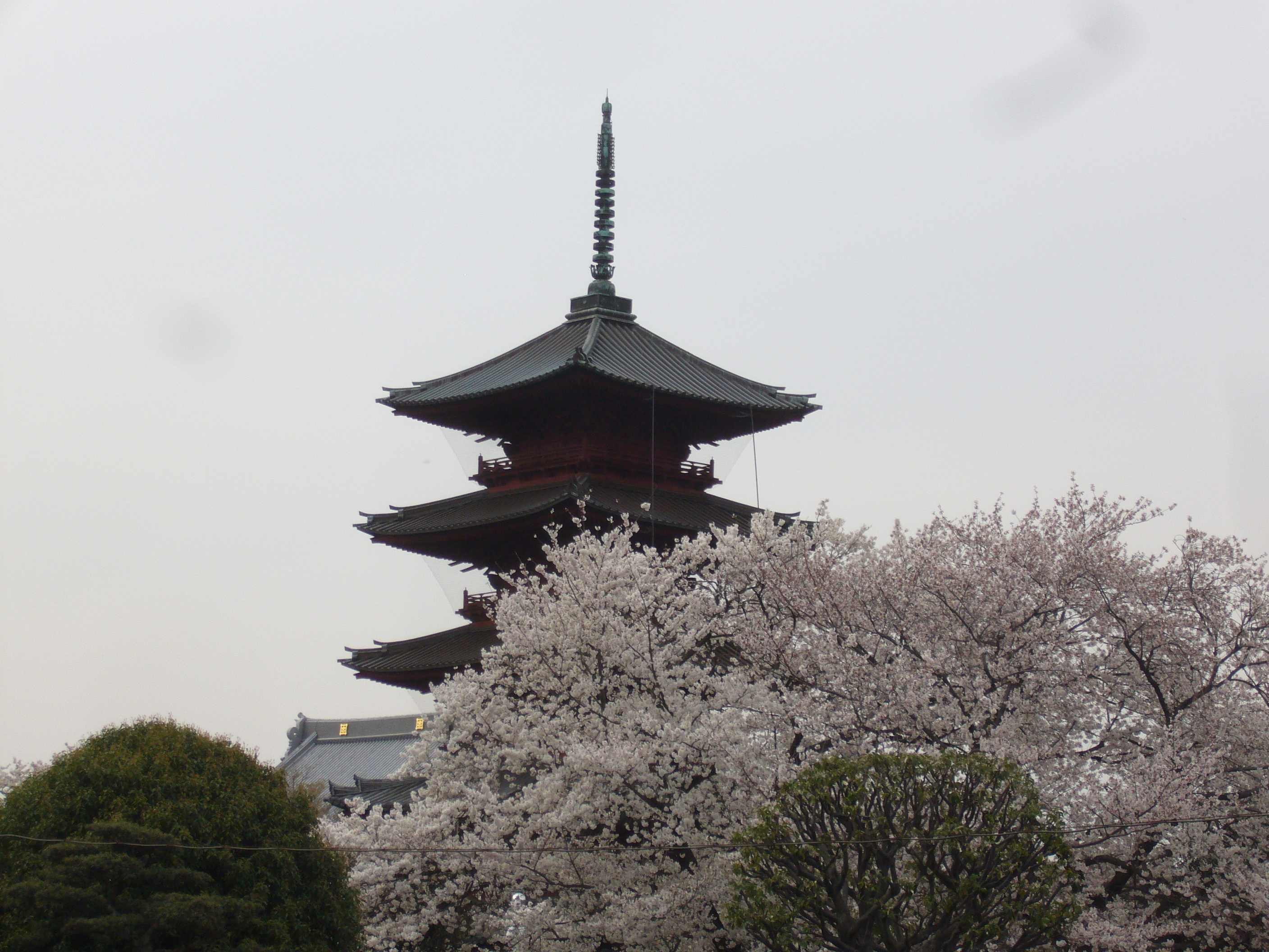 池上本門寺　春まつりフェスティバル